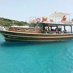 Deniz Yildizi