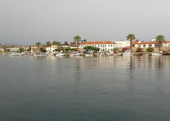 Deniz Yildizi Seferihisar