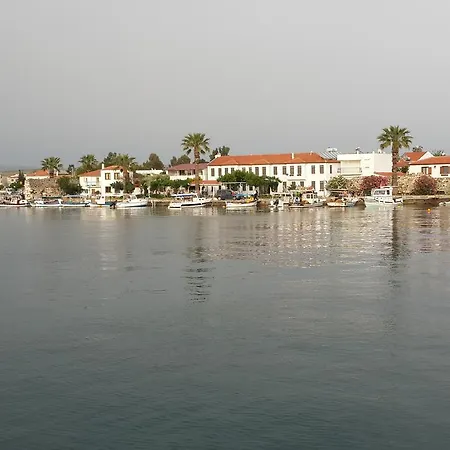 Deniz Yildizi Seferihisar